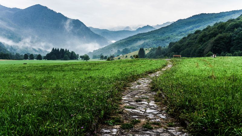 pathway