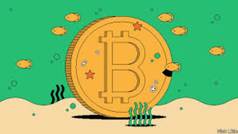bitcoin
